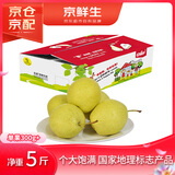 京鲜生 河北雪花梨 净重5斤 单果300g+ 生鲜水果礼盒