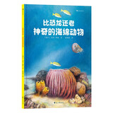 比恐龙还老！神奇的海绵动物（中科院南京地质古生物研究所专家审定，超有趣的海绵动物知识）浪花朵朵