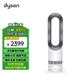 戴森 DYSON AM09 多功能无叶电风扇 冬季暖风扇 凉暖气流四季适用落地风扇银白色AM07升级款 欧版