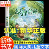 国际大奖儿童文学获奖小说注音版 广东新华推荐一年级课外阅读必读书籍7-10岁世界名著 绿野仙踪小学生暑假拼音读物二三年级课外丛书 2.国际大奖-绿野仙踪