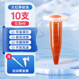 花百年丰年虾卵孔雀鱼鱼饲料冻幼虫专用鱼苗饲料开口鱼粮水母饲料高蛋白 特浓大红卵0.5ml*10支【送专用喂食套装】