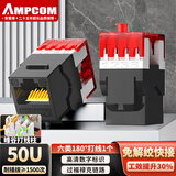 安普康（AMPCOM）网络模块六类 千兆CAT6类网线信息插座面板 RJ45非屏蔽镀金水晶头180°打线网口 黑色 AC6208BK