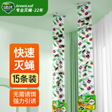 绿叶粘蝇条 粘苍蝇彩带 粘飞虫挂条15条装21256-15B