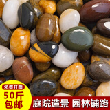 明雾【12仓速发】50斤鹅卵石铺路铺地庭院园林造景天然大小鱼缸雨花石 【50斤装水洗五彩】3-5cm-见图2