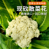 密农人家农家自种散菜花 新鲜菜花 脆嫩花菜 每日现采花椰菜 时令蔬菜500g