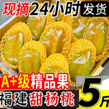 梅时美季现货包邮福建甜杨桃5斤水果当季整箱洋桃鲜果新鲜红扬桃五角阳桃 5斤【福建甜杨桃】