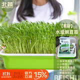 北蔬 水培蔬菜豌豆种子芽苗菜育苗盘种植盒套装 加深盘水培豌豆苗套餐