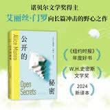 公开的秘密 在人生的岔路口遇见门罗真好！诺奖得主口碑代表作 2024新译本