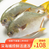 海鲜颂海捕国产金鲳鱼 深海鱼平鱼鲳鱼 海鲜水产 年夜饭 生鲜鱼类约2条