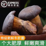 黑牛肝菌新鲜【顺丰空运】菌菇云南特产年货礼盒送礼 黑牛肝菌（顺丰空运） 500g