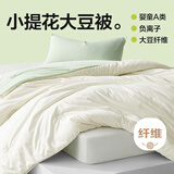 网易严选被子 A类抗菌 10%大豆纤维被 四季被 4.6斤 200*230cm 绿色