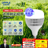 欧普（OPPLE）LED灯泡2级能效灯泡E27螺口商用摆摊大功率厂房工矿灯100瓦白光