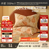 水星家纺枕套纯棉100%全棉磨毛柔感对枕套抑菌A类枕头罩一对装双人48x74cm