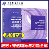 工程数学—线性代数 第七版 第7版+穿透辅导与习题全解 同济·（同济大学数学科学学院编）