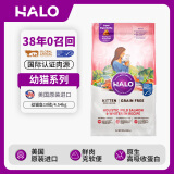 HALO自然光环鲜肉无谷幼猫粮增肥进口幼猫粮三文鱼&白鱼味10磅/4.54kg