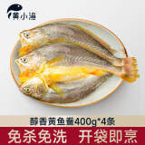 黄小渔醇香黄鱼鲞400g*4条（净重1.6kg）大黄花鱼 生鲜水产鱼类源头直发