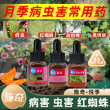 施奇悦月季花卉病虫害常用药套装卫士红蜘蛛蚜虫专用药杀虫白粉杀菌剂