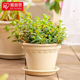 爱丽思（IRIS）花盆简约环保大花盆园艺花卉盆树脂波纹浮雕加厚花盆 9号浅米色6.0L