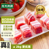 龙大肉食 猪五花肉块2kg 冷冻带皮五花肉猪五花烤肉酱卤原料 出口日本级 