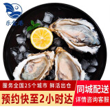 乐食港国产生蚝5斤装鲜活大个 牡蛎新鲜海蛎子山东贝类活鲜 XXL号（5斤）约12-16个 --推荐--