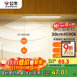 公牛（BULL）感应橱柜灯衣柜灯LED人感光感磁吸 卧室床沿玄关小夜灯30CM4000K