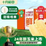 十月稻田 鲜食白甜糯玉米2.08kg（260g*8根） 东北玉米 杂粮礼盒