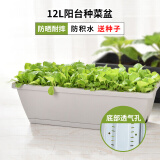 花沃里花盆大号带托盘2个装 阳台种菜盆种植箱种子育苗盘长方形塑料花盆