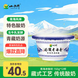 小西牛 青藏奶源老酸奶原味老酸奶150g*12碗 源头直发