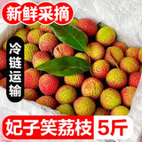 庾丰 正宗妃子笑荔枝 新鲜水果整箱 孕妇生鲜 老树果 团购送礼 5斤装（净果4.5斤）优选果 JD/顺丰送货上门 源头直发