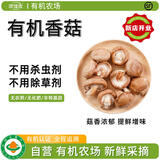 沈佳农有机香菇新鲜蔬菜菌菇冬菇鲜家用天然食用无农药煲汤125g有机菜 香菇125g