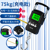 味之享高精度迷你手提电子秤50kg便携式家用快递称小秤弹簧小型挂钩买菜 充电款75kg【带卷尺】送充电线