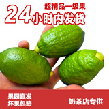 正宗广东香水柠檬爆香新鲜无籽精品一级果 春季果皮偏厚汁少爆香 18斤（净重一级果奶茶店口味）