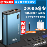 海江器乐12V雅马哈KB291电子琴280钢琴309户外接移动电源专用电池瓶充电宝 雅马哈12v蓝色电子琴用 20000毫安