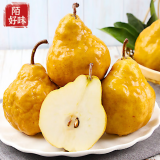 京地达中华丑梨 啤梨放软吃 净含量4.5斤特大果300g+ 源头直发包邮