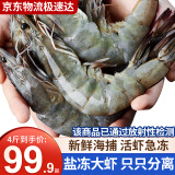 卖鱼七郎 虾青岛大虾海捕青虾生鲜 虾类白虾海鲜水产鲜冻国产 端午节 青岛盐冻大虾 推荐加量装 4斤装 单只16-19cm 品质精选