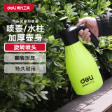 得力（deli）浇花喷壶喷雾器园艺喷水壶洗车酒精消毒气压式2L 