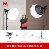 锐鹰（FALCONEYES）LPS-150TD  直播补光灯双色温常亮摄影打光灯影棚直播球形柔光灯套装led柔光灯 双灯套装（球形柔光箱）