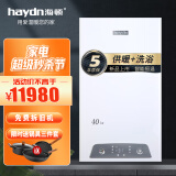 海顿（haydn)新锐pro系列天然气壁挂炉家用采暖锅炉洗浴取暖两用 40KW 251-300㎡