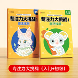 【时光学】专注力大挑战魔法线条训练手脑结合能力逐步进阶训练开发提升思维专注力书儿童迷宫魔线线条连线画本绘本绘画书 【2本】入门+初级