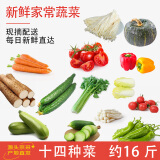 京百味新鲜蔬菜组合14种蔬菜 新鲜蔬菜 精选净重15斤装 源头直发