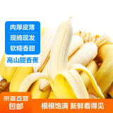 【不打药】国产高山甜糯香蕉 当季新鲜水果芭蕉薄皮整箱青果发货 带箱4.5kg【普通装】