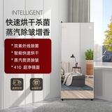 AYHY 家用智能双开门镜面蒸汽衣物护理机衣柜式烘干机暖风干衣机衣服除味塑形紫外线负离子杀菌消毒 新立体风-镜面-【蒸汽护理+烘干除菌】 410L 单门款