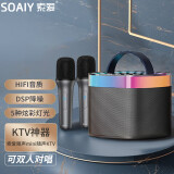 索爱（soaiy）麦克风音响一体带话筒k歌家庭KTV自带声卡蓝牙音箱神器无线唱歌家用卡拉ok SK2双麦太空灰