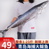 鲜拔头筹 青岛大鲅鱼 新鲜海捕鲅鱼  深海大鲅鱼马鲛鱼海鲜水产生鲜鱼类 4斤装/4条