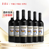 宁夏红大漠传奇赤霞珠 宁夏葡萄酒 750ml*6瓶 整箱 贺兰山东麓干红