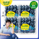 怡颗莓Driscoll's云南蓝莓Jumbo超大果18mm+ 4盒125g/盒新鲜水果
