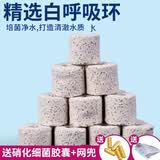 奈宠（NaiChong）滤材鱼缸鱼池乌龟缸过滤材料培菌过滤石头陶瓷环珊瑚骨纳米细菌球 精选白呼吸环 5斤装
