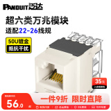 PANDUIT 泛达超五5类超六6a类NK模块非屏蔽RJ45网线模块86型单口双口网络面板千兆万兆 超六类万兆模块-白色