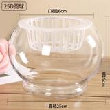 以琛水培植物玻璃瓶 绿萝花瓶花盆玻璃圆球水养鱼缸器皿容器送定制栏 25D圆球