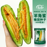 寿禾 羊角蜜种子苗脆甜水果甜瓜种籽 潍育寿甜9号羊角蜜种子600粒桶装